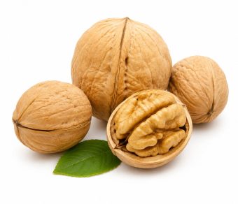 Xinjiang 185 Walnut in Shell