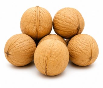 Xinjiang 185 Walnut in Shell