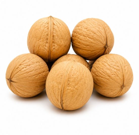 Xinjiang 185 Walnut in Shell