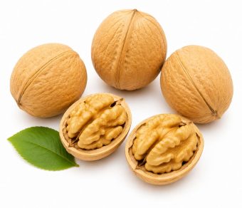 Xinjiang 185 Walnut in Shell