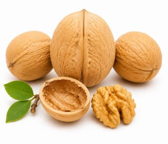 Xinjiang 185 Walnut in Shell