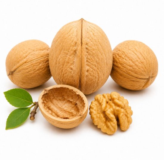Xinjiang 185 Walnut in Shell