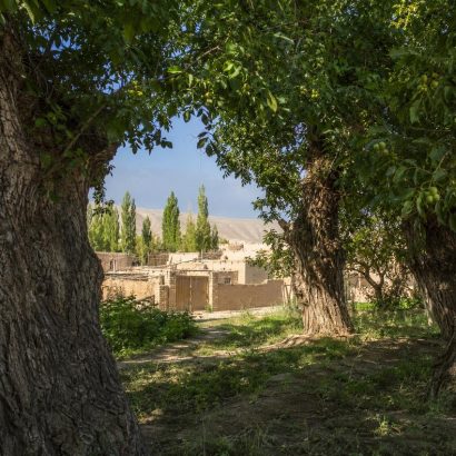 I frutteti di Kashgar