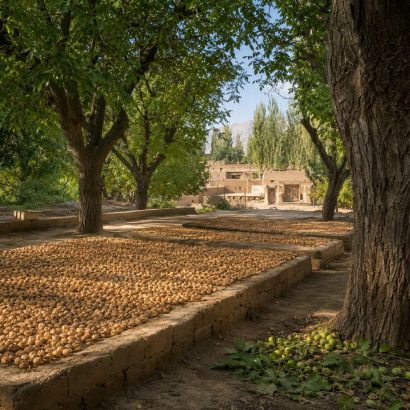 I frutteti di Kashgar