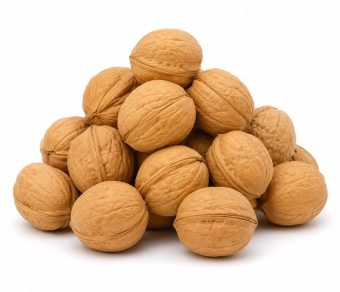 Xinjiang 33 Thin-Shell Walnuts