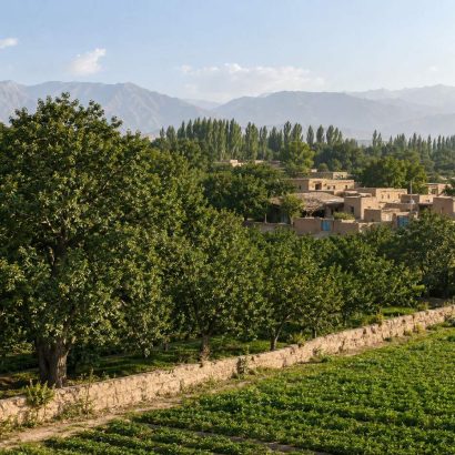 frutteto di Aksu