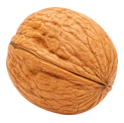 walnut