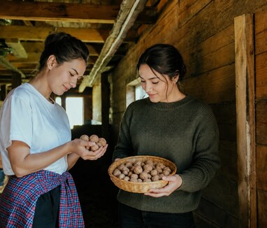 walnuts